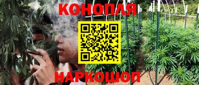 молекула духа Кулебаки