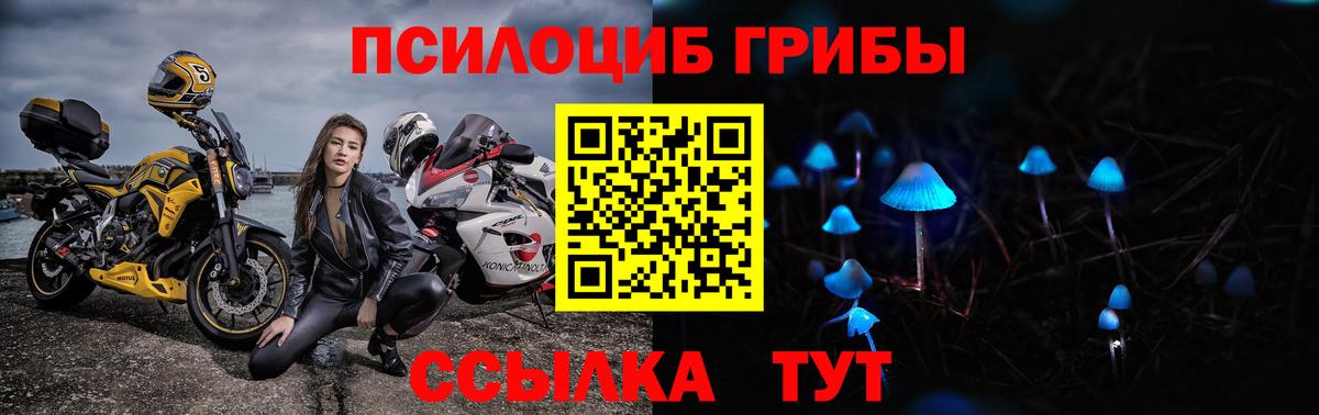 Гуково  Псилоцибиновые грибы Cubensis  Вход с VPN 